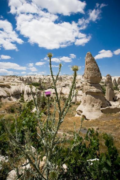 Fairy Chimney Inn Göreme Buitenkant foto